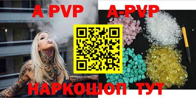 спиды Моздок