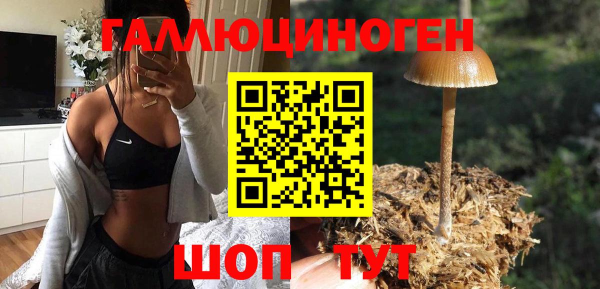 Галлюциногенные грибы Psilocybe  Псилоцибиновые грибы ЛСД  Южно-Сахалинск  Вход с VPN 